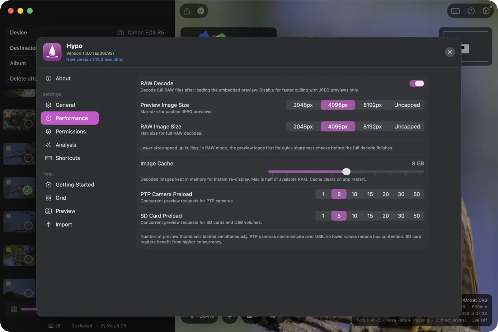 The performance settings tab